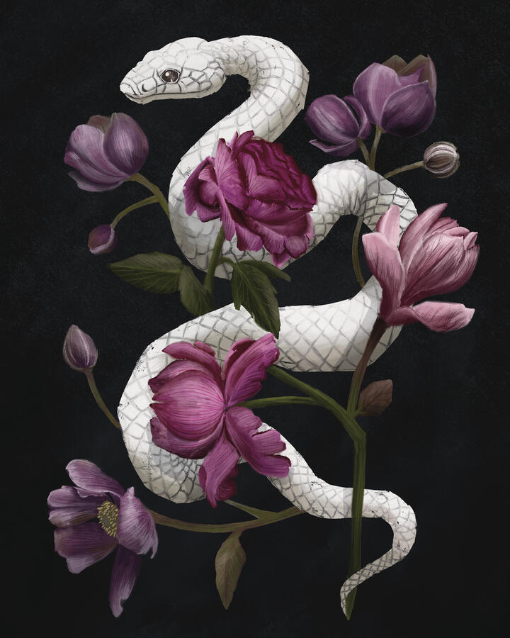 Snakes & Flowers, 2026 Snakes & Flowers, 2026