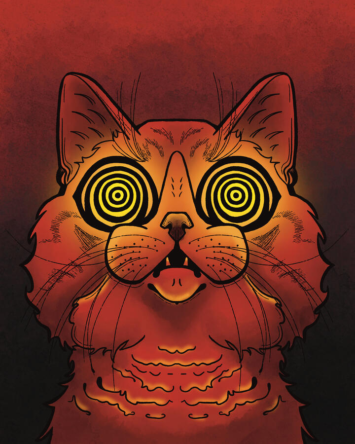 Show Me Your Kitties, 2026 Show Me Your Kitties, 2026