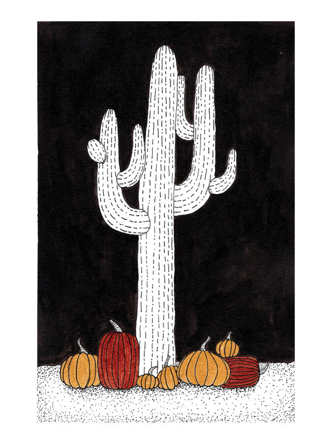 Saguaro Pumpkins Saguaro Pumpkins